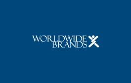 A Comprehensive Review of Worldwide Brands in 2025: Is It Still Worth It?